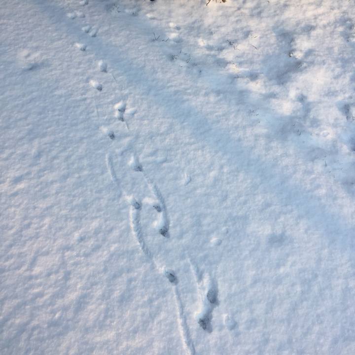 87d9ec74 b9d7 421a ae1c df58342abfad 1519807241316