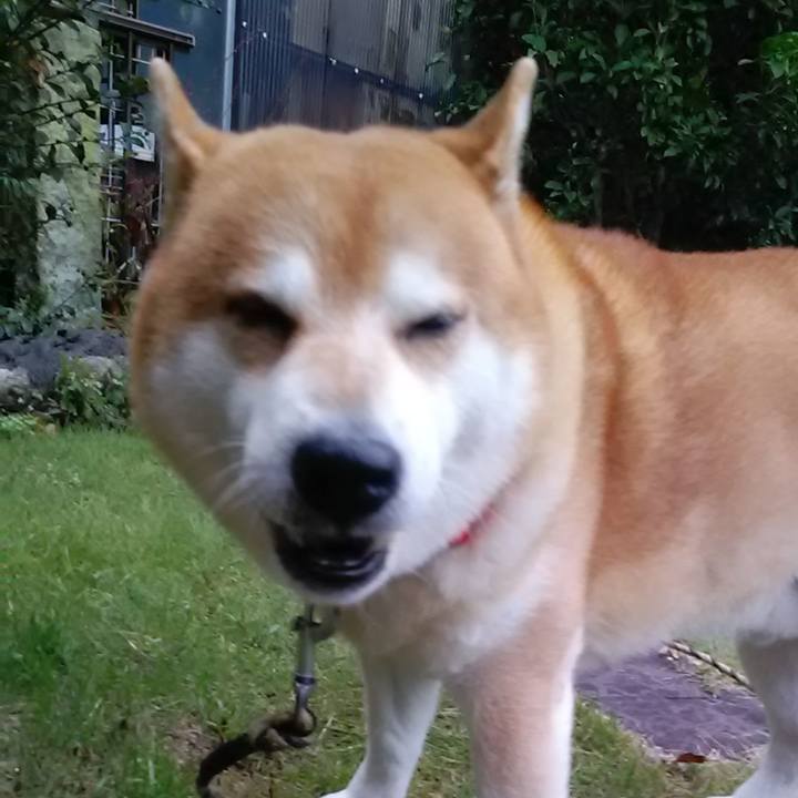 87da0d9c 2a95 4c0f 99af 616b89074a23 1665218189492