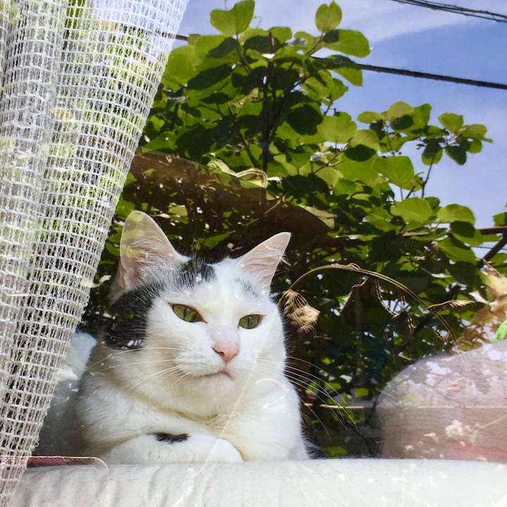 87da1087 46db 4ec6 a813 5fa854534fbf 1558839034538