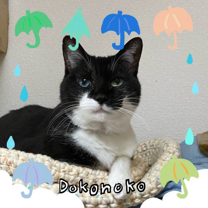 87da12b5 031a 42f3 9869 f02f1ab1a57a 1718337138614