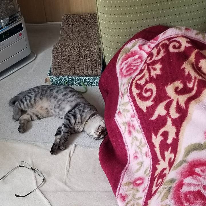 87da3ca1 edaf 475d bbda c06d12483bf9 1679637053346