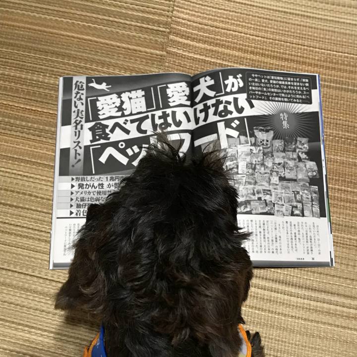 87da5565 7a8d 4dda 9799 935dc37813c1 1534517008647