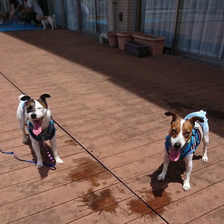 87da6e37 4186 4fd1 88bd 3236dd76b6f7 1592212268070