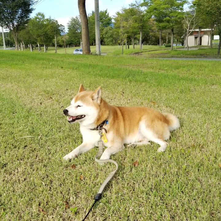 87daa7b3 3993 4b12 aa03 34b233d45eee 1630999323011