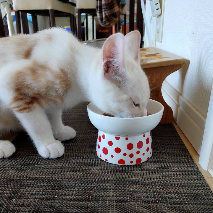 87dad5f5 e9b0 47b6 82b3 ef7ab5bdeddb 1627855878954