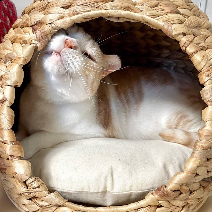 87dad64a e657 4cf5 a064 83dda19c6a7e 1718718103799