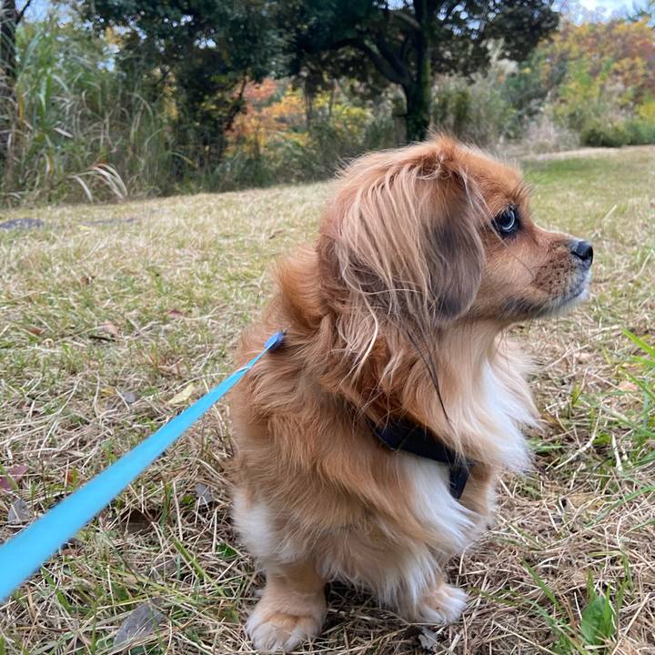 87db3b9d f931 42ff 9e9b 3b9350e393e6 1605133882079