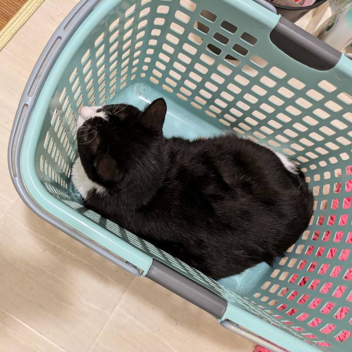 87db50b7 b566 4481 9ef2 4193a763c372 1726623704233