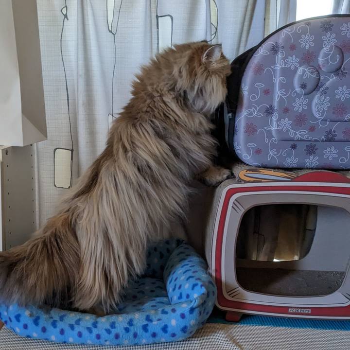 87db8a5b 1401 4da4 afc9 891554cbec71 1676162935334