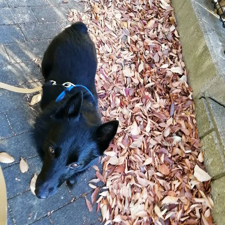 87db9f0d 427b 4387 a265 84b30a32dd42 1607986381117