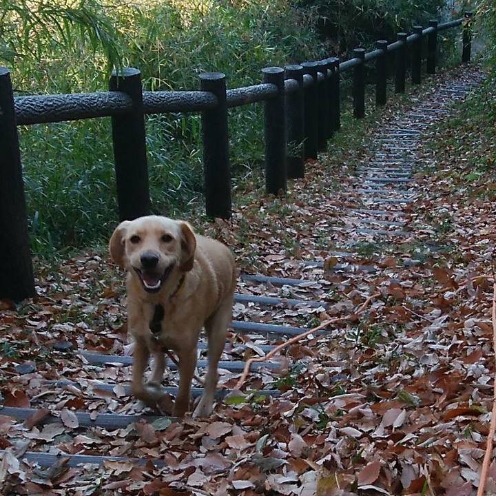 87dba461 6361 490b b50f 9ac0ac2eade5 1513135974709