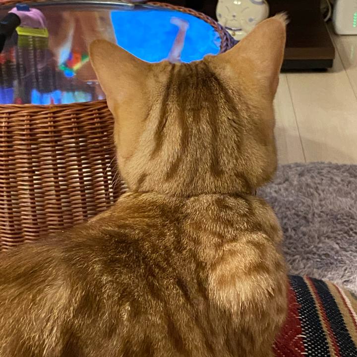 87dbdfb8 1eff 442f aa86 e4f6aec96b83 1624787070608