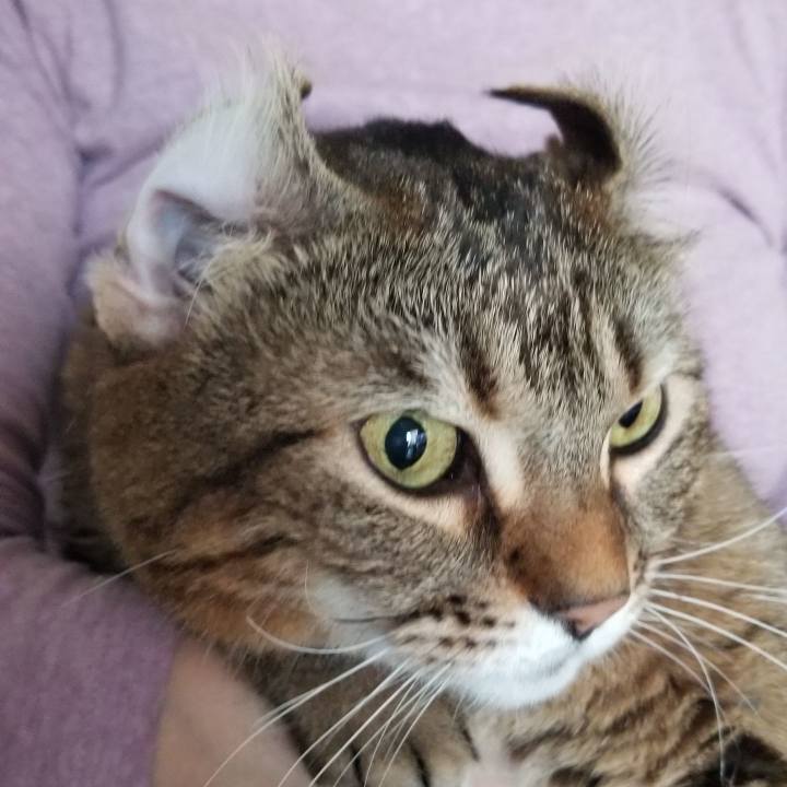 87dbe053 038b 454a 9cf0 192bf65ad6e5 1578902451364