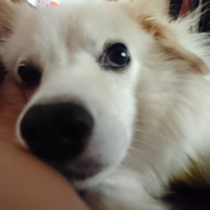 87dc132c 2225 4c7f b93b 0cd7c0f5ee1c 1513768826642