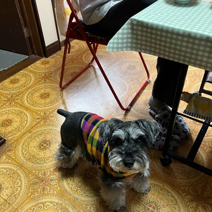 87dc2317 11ad 4989 9ff3 a97af5d6cea2 1714265112980