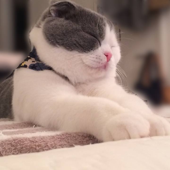 87dc2392 b2e8 4b19 addf 8bae8eaa77c1 1511095638879