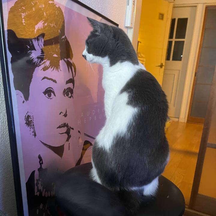 87dc2410 d5b8 40c5 bec7 101e5464ab9d 1640560571924