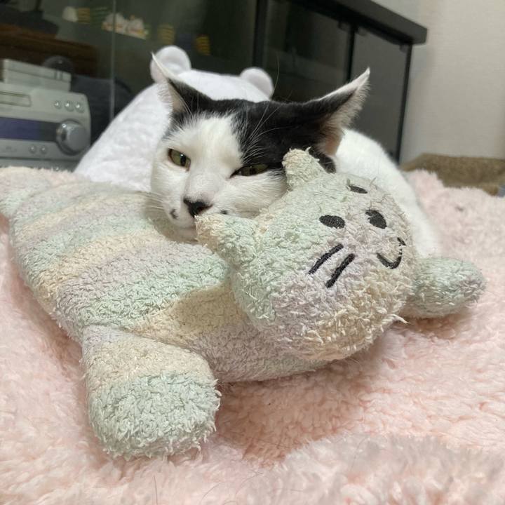 87dc828e 390c 49fd ab13 8288a4d9184b 1764326375055