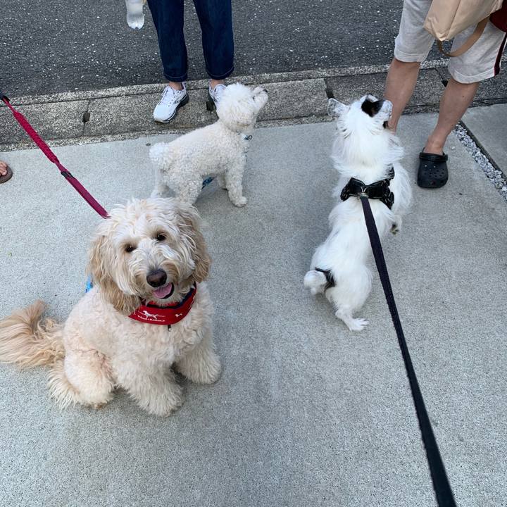 87dc88eb 4cc3 40e2 8c88 cd0fb5339d81 1751583902999