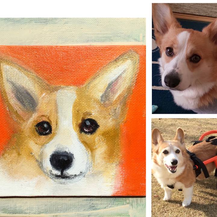 87dcc042 b86b 4329 aabf 2ef15426693d 1586316909814