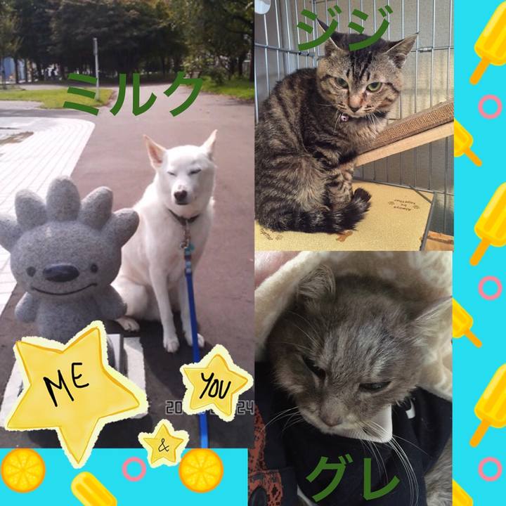 87dcc1f3 68c8 4a6e 9b60 4d8fc5efd905 1597292997472