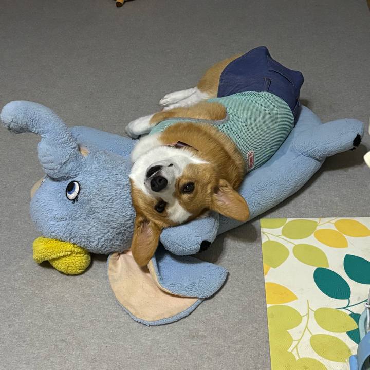 87dcd077 2526 4a88 a2f2 9c0036b80ec1 1758302096266