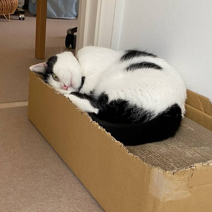 87dcdce0 e958 4930 afc0 03c9ade2ae5d 1759017364934