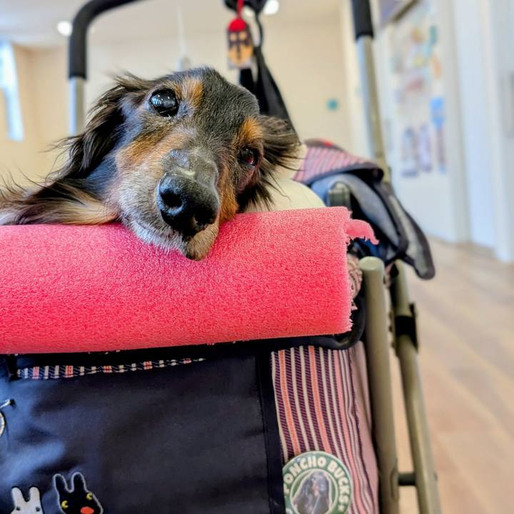 87dcde32 72f3 4318 858a 57afb177cc7a 1762497016154