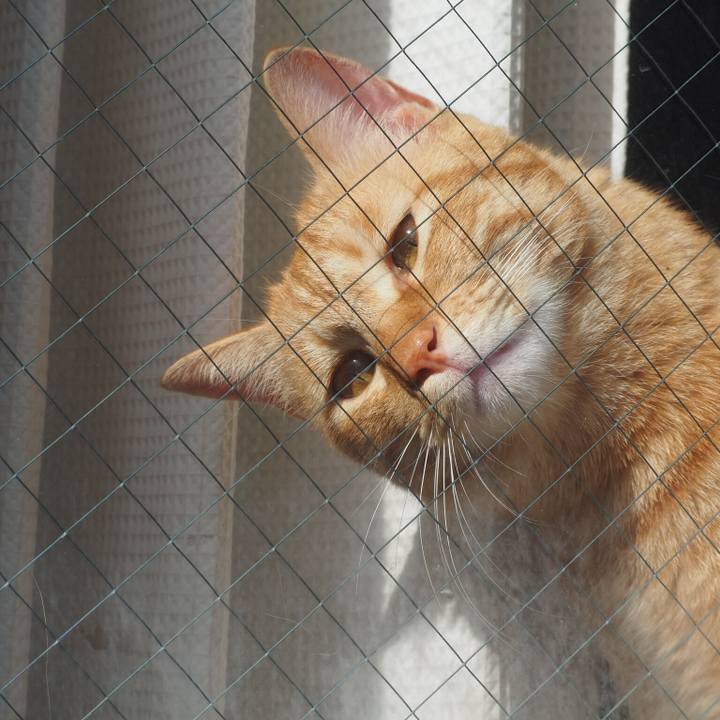 87dcdfcd d58f 4863 a543 41d22e5bec5b 1510488857300