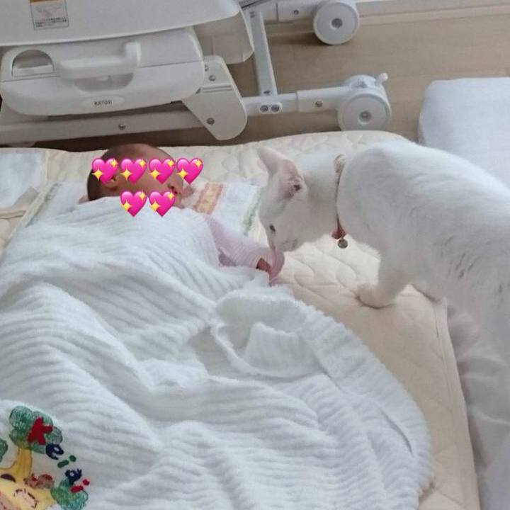 87dcfe2f 38b2 458a a8cc 29966ae749f6 1627699360227