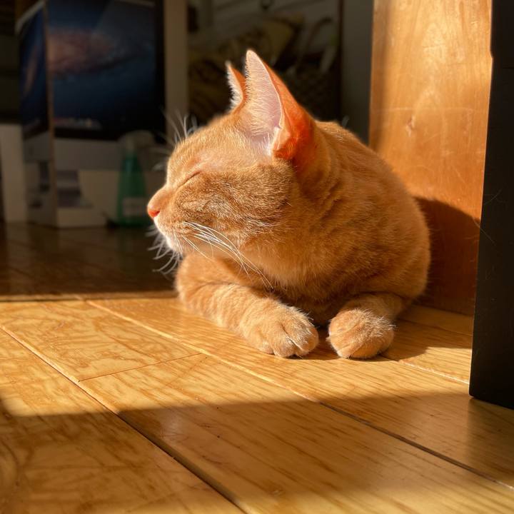 87dd1fcc a835 458c b7b0 f326d0ff8ba2 1702815341716