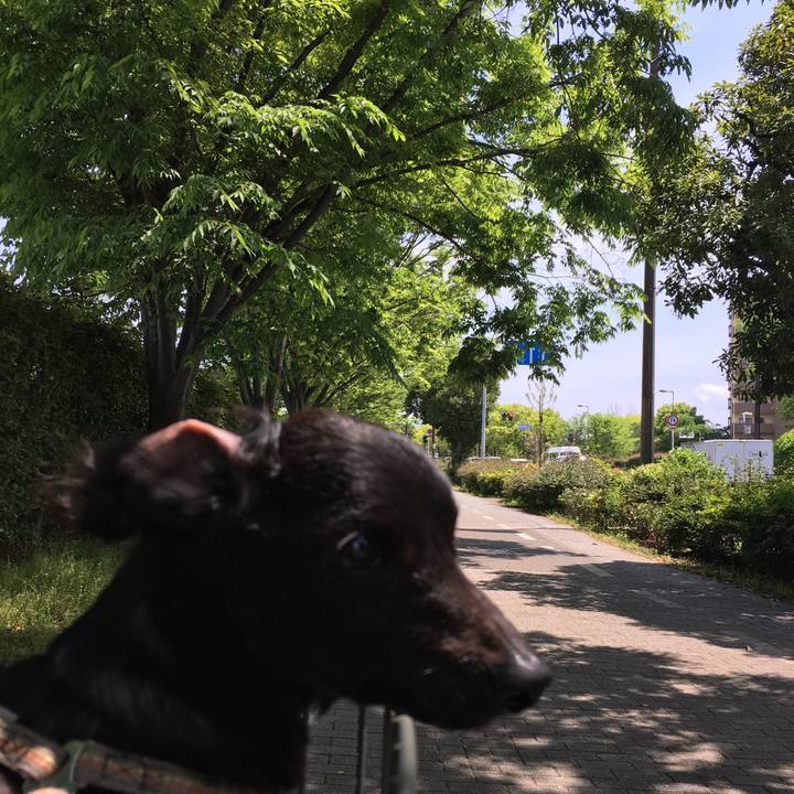 87dd6189 854d 4391 8065 2722e5c18b21 1557023509864