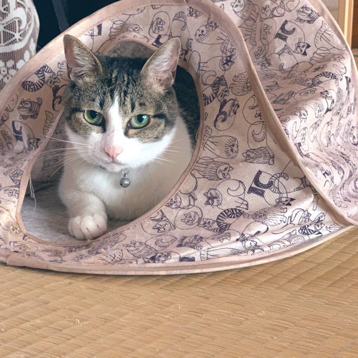 87dda843 07cd 4b72 bf05 64d9eb475adc 1566975317371