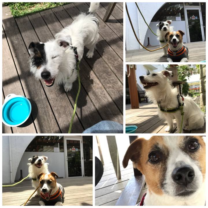 87ddbdf2 065d 4677 b11e 9dbf5585b772 1527837107503