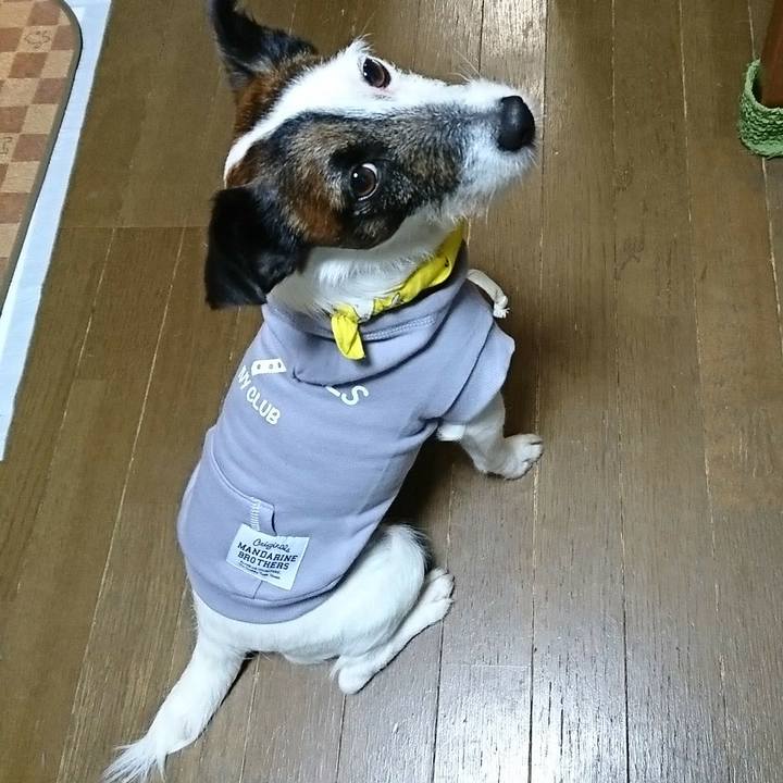 87ddd0c7 fefc 40b4 b053 d3eeda4a0fc2 1522503005012