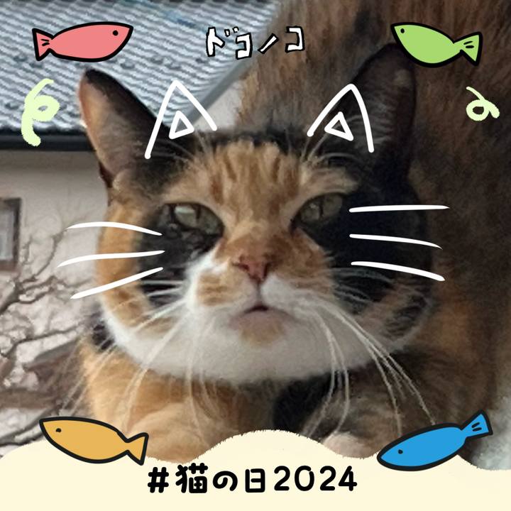 87ddd848 b098 483b 8034 827d8068a903 1708570626840