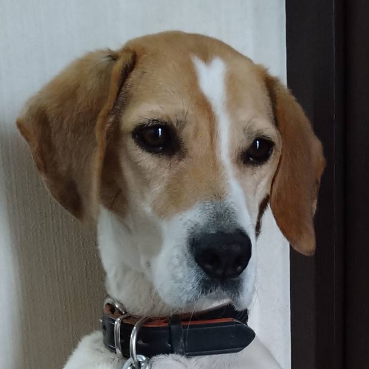 87dde2ce 60bb 4936 b629 7150bcf1b53f 1649857145472