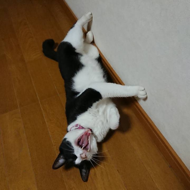 87de191e 7fde 4929 b912 74258aaba199 1624062960277