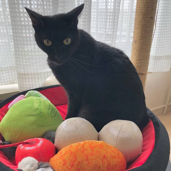 87de4df1 f6fc 443d 957b 8894d9f532ad 1617507658966