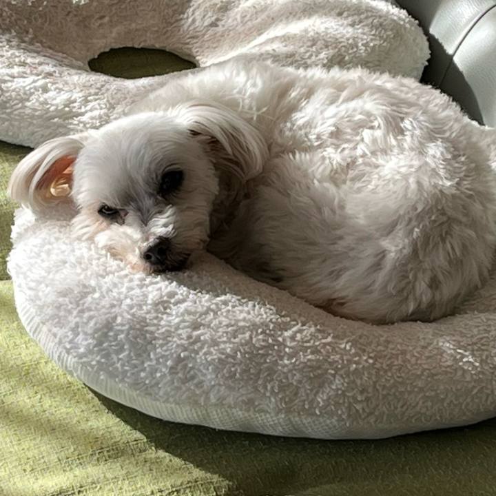 87de6565 73de 4ba6 9827 5953fe65f93e 1677567951765