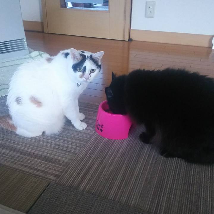 87de6a19 7633 43ab 953e 79fd5ad8ed81 1545606460072