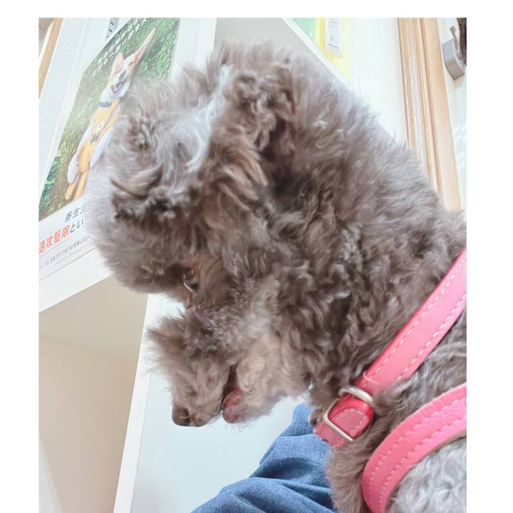 87debc98 09b3 4116 8331 cd0befcc47db 1680213932259