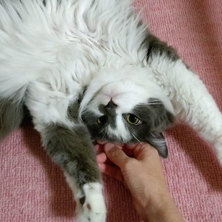 87dee6e1 68df 4259 aef3 087200d144a9 1594421645989