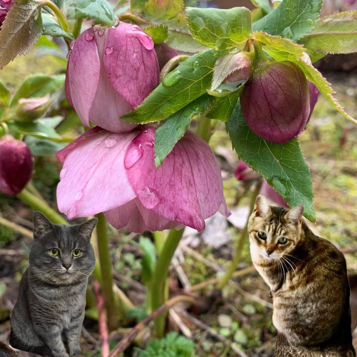 87defda3 232e 4a44 ad01 c7f23db5238d 1745444088537