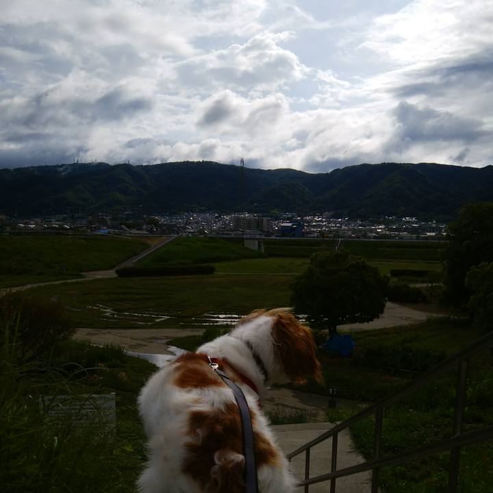 87df01a5 e1d8 48be 98a6 1eabeb9d22df 1526729673219