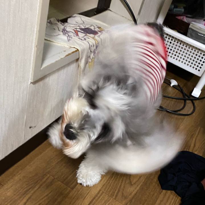 87df1231 0b65 4faf bc3e 4480de4de0b5 1611676858115