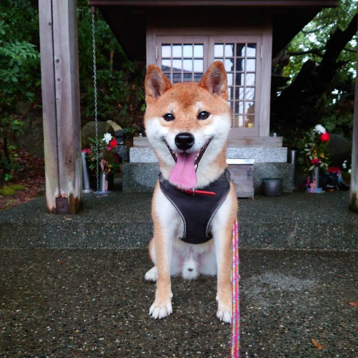 87df75f0 2aeb 4e2c a759 828b16986c86 1755994845254