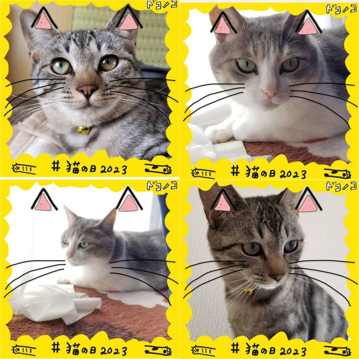 87df7fc5 5a9a 4851 b0b7 3859444d28d7 1677043361794