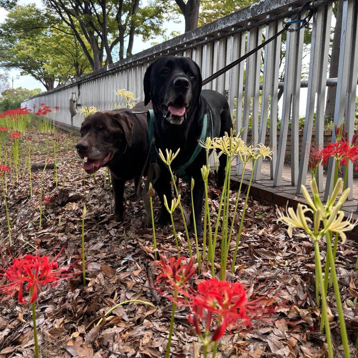 87dfdb13 1e6e 4ad0 a7fb 98974ed778fe 1759062357471