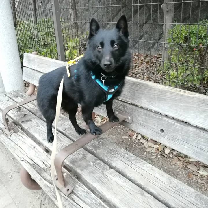 87dfef67 bcaa 438d ab58 effe50553401 1677710200298